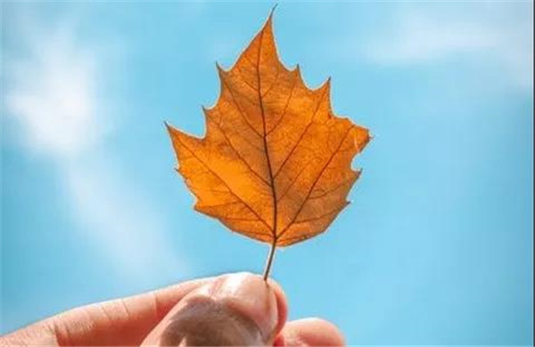 寶潤達(dá) 寶潤達(dá)